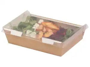 Combione® Large Box With Anti-fog Lid (10331) 190/170x147/127x52mm - Case Qty 200