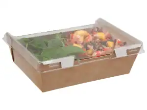 Combione® Small Box with Anti-fog Lid (10332) 160/140x127/107x52mm - Case Qty 200