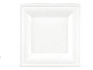 15cm Bagasse Square Biodegradable Plate (91007) - Case Qty 500