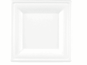 26cm Bagasse Square Biodegradable Plate (91005) - Case Qty 250