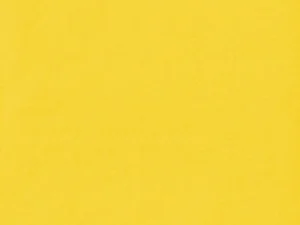 Yellow 2-Ply Dinner Napkins 40x40cm – Case of 2000