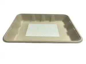 Bagasse Meat & Fish Tray with Absorbent Pad - 237x173x30 – Case of 400