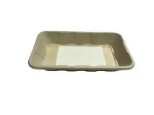 Bagasse Meat & Fish Tray with Absorbent Pad - 230x135x35mm – Case of 400