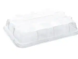 clear domed lid for largest rectangular platter